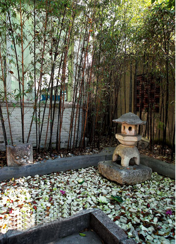 屋顶花园的设计