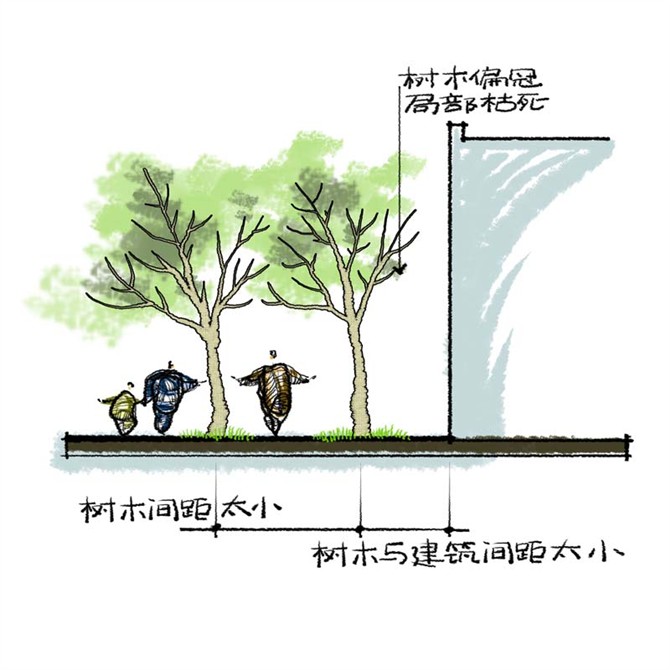 园林景观之城区乔木种植技术