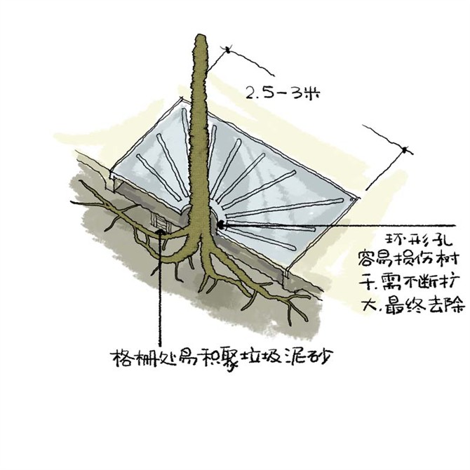 园林景观之城区乔木种植技术